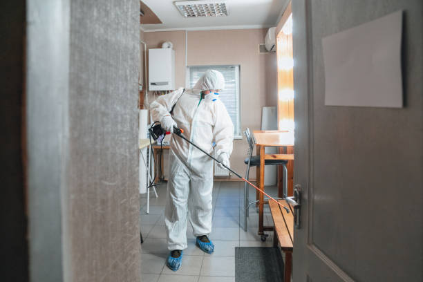 Best Post-Remediation Verification Testing  in Hill N Dale, FL
