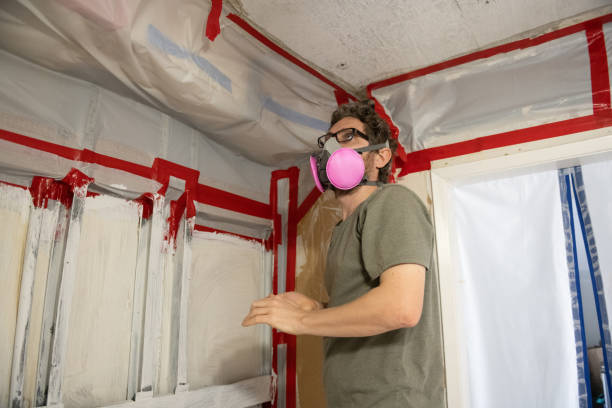Best HVAC Mold Inspection and Cleaning  in Hill N Dale, FL