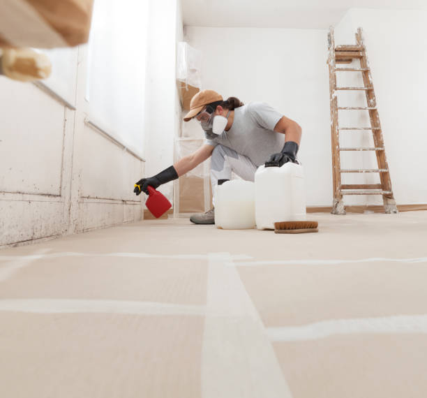 Hill N Dale, FL Mold Removal Company